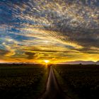 Sonnenuntergang in Rheinlandpfalz (Hochstadt)