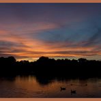 Sonnenuntergang in Riddagshausen