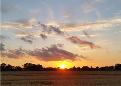 Sonnenuntergang in Riede-Felde