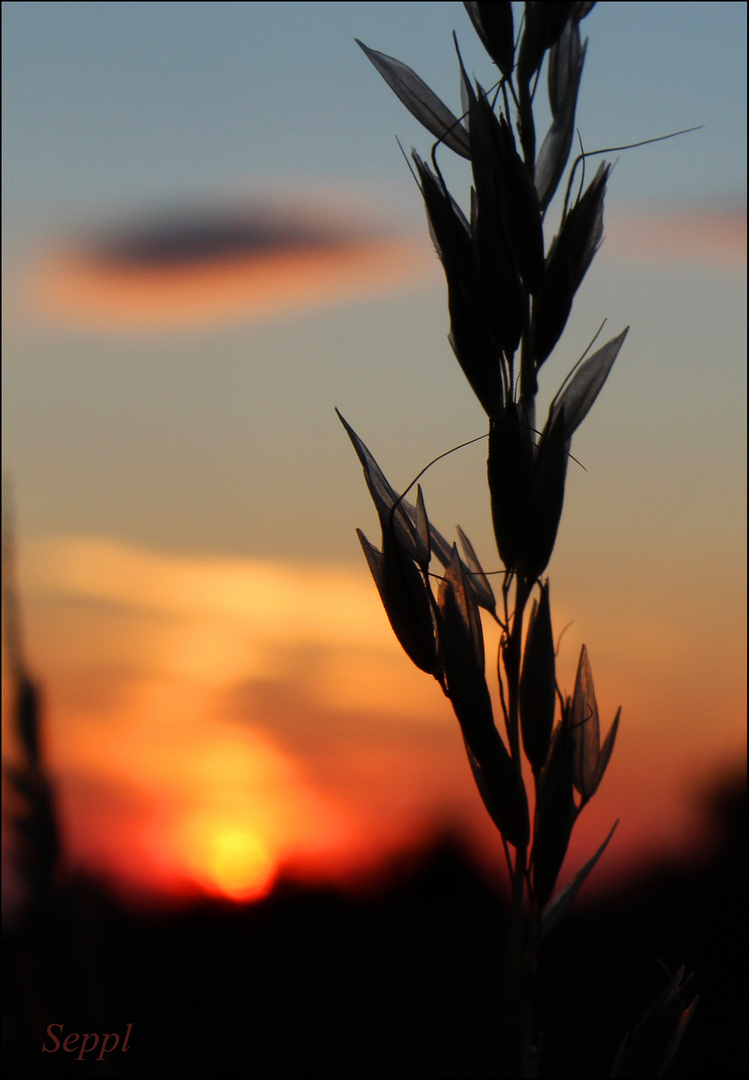 Sonnenuntergang in Rotensol