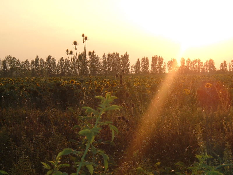 Sonnenuntergang in Rumänien