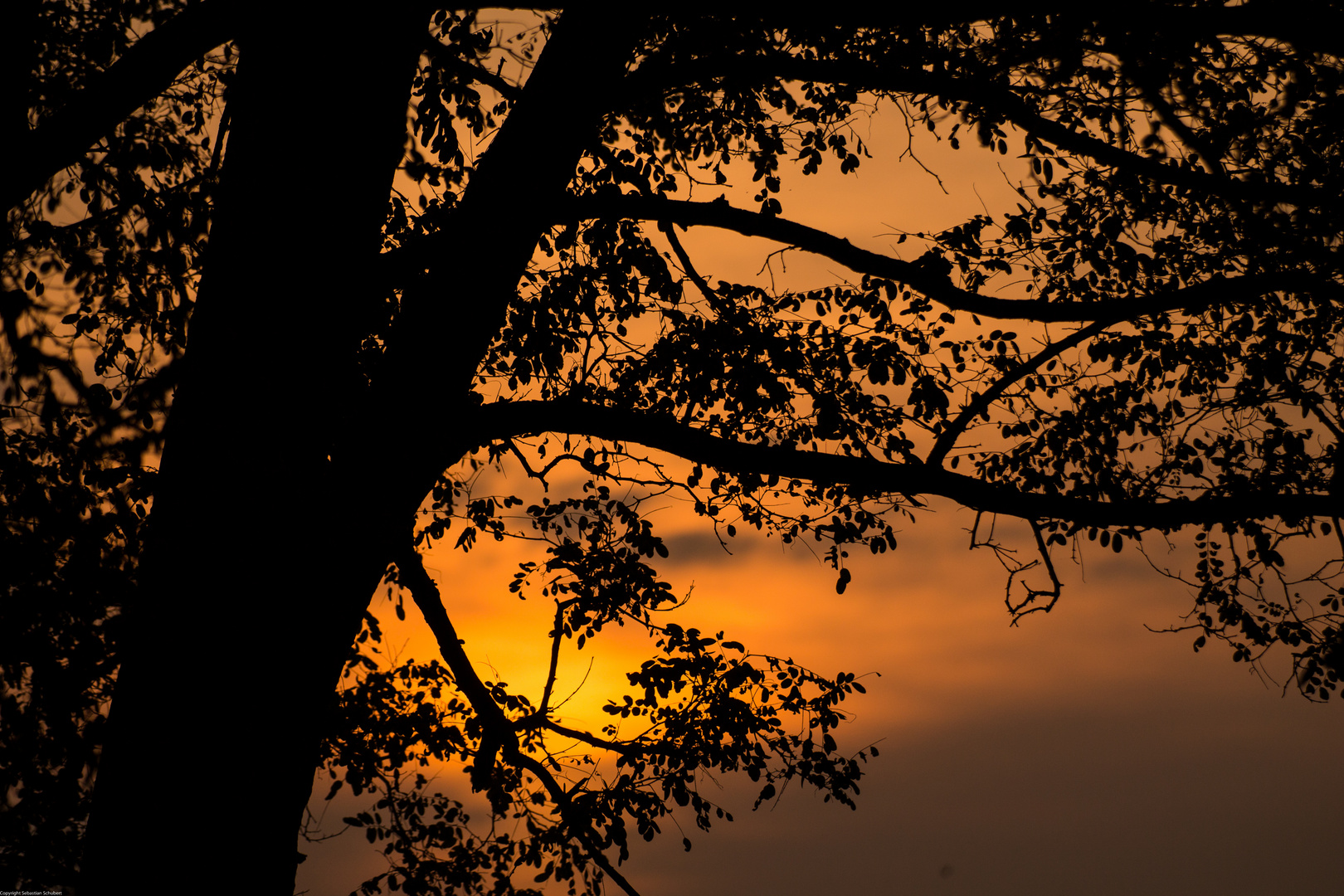 Sonnenuntergang in Sachsen