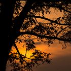 Sonnenuntergang in Sachsen