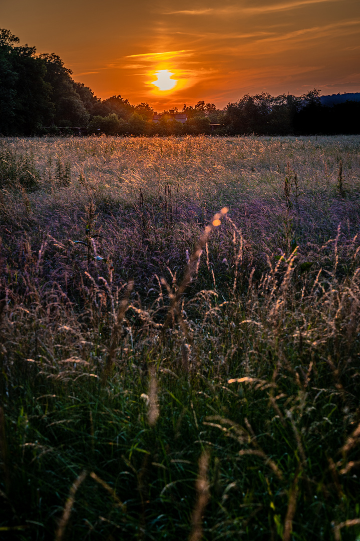 Sonnenuntergang ???? in Salzgitter Bad