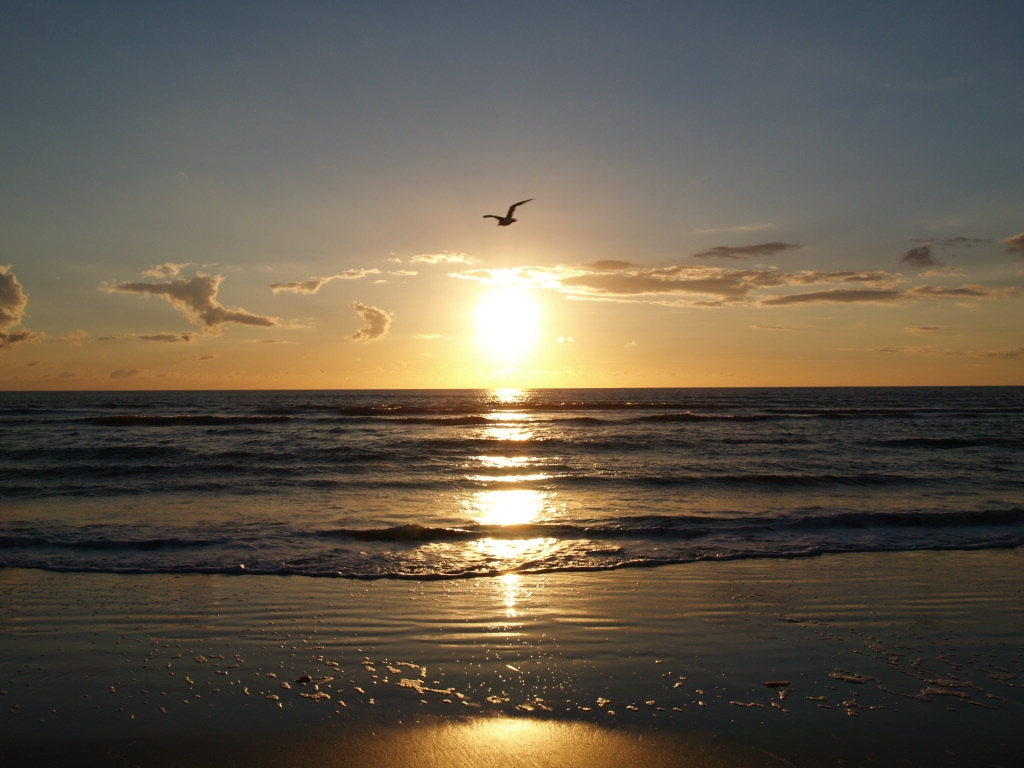 Sonnenuntergang in Sankt Peter-Ording