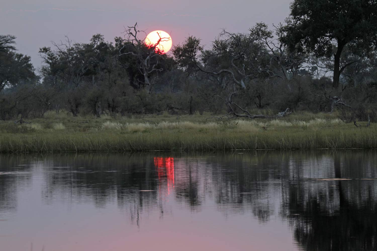 Sonnenuntergang in Savuti