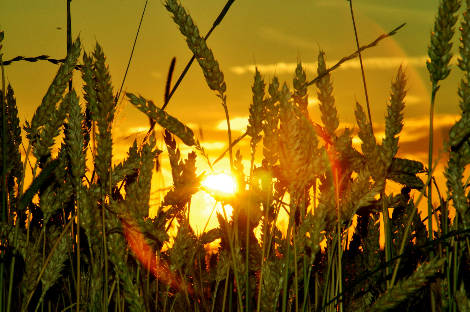 Sonnenuntergang in Scheyern