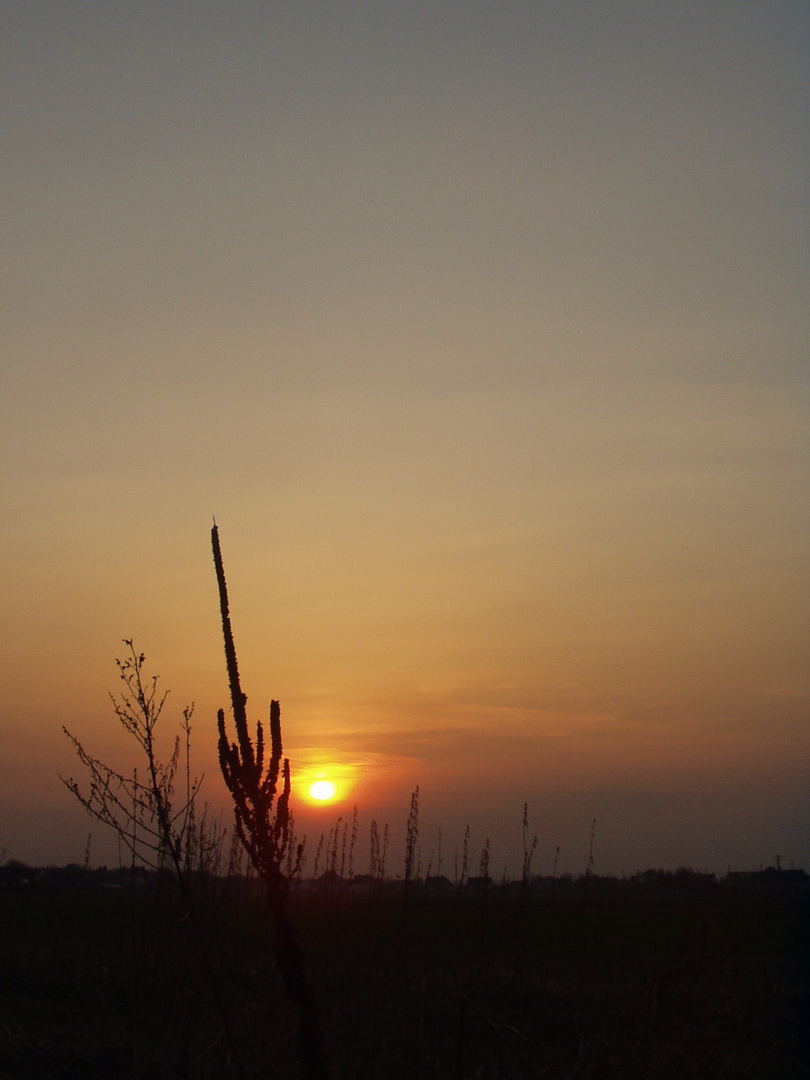 Sonnenuntergang in Schlesien