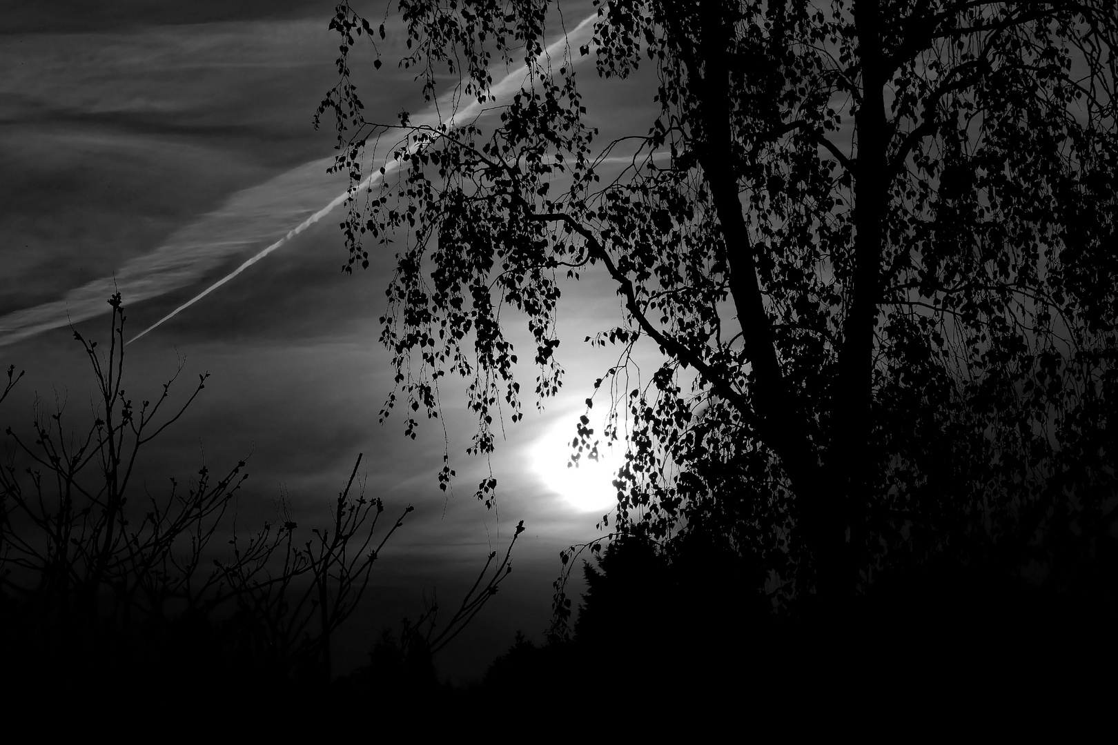Sonnenuntergang in schwarz/weiß