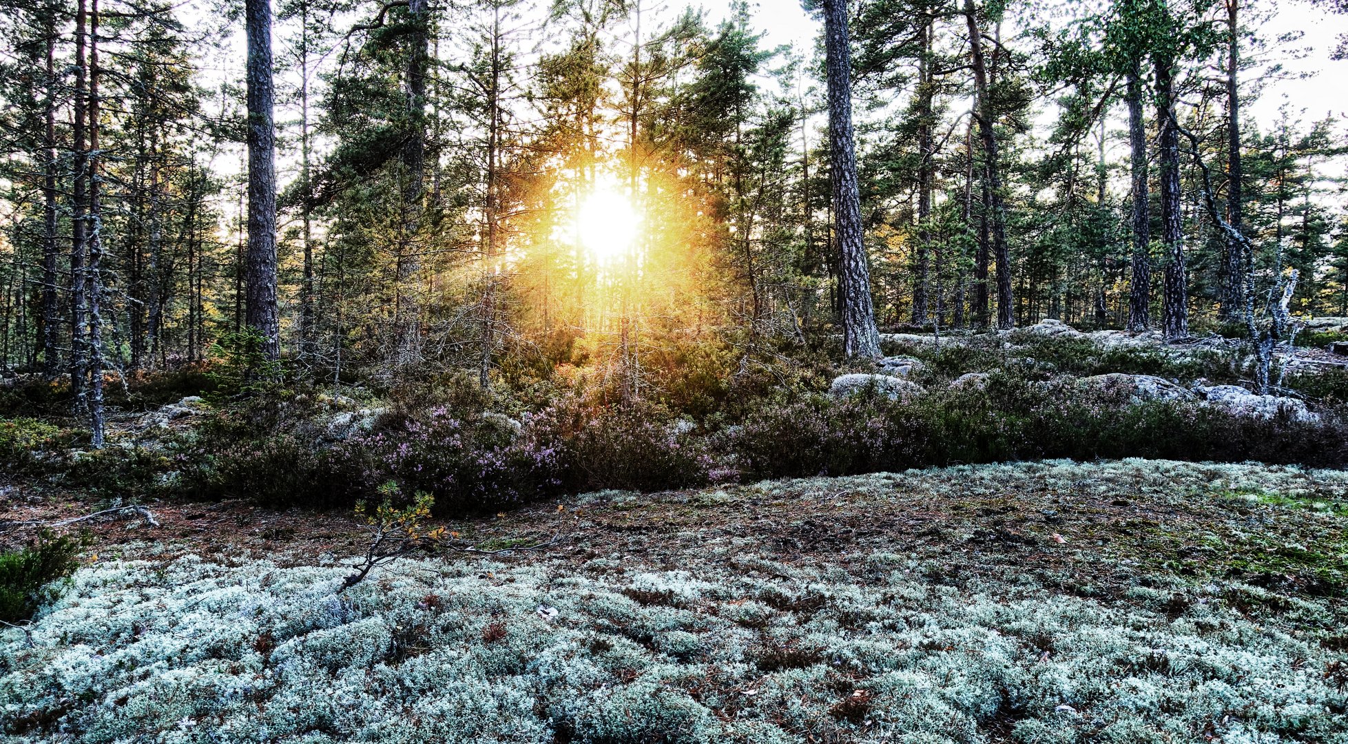 Sonnenuntergang in Schweden