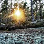 Sonnenuntergang in Schweden