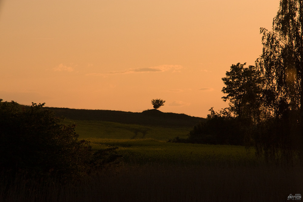 Sonnenuntergang in Seedorf