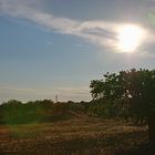 Sonnenuntergang in Sizilien