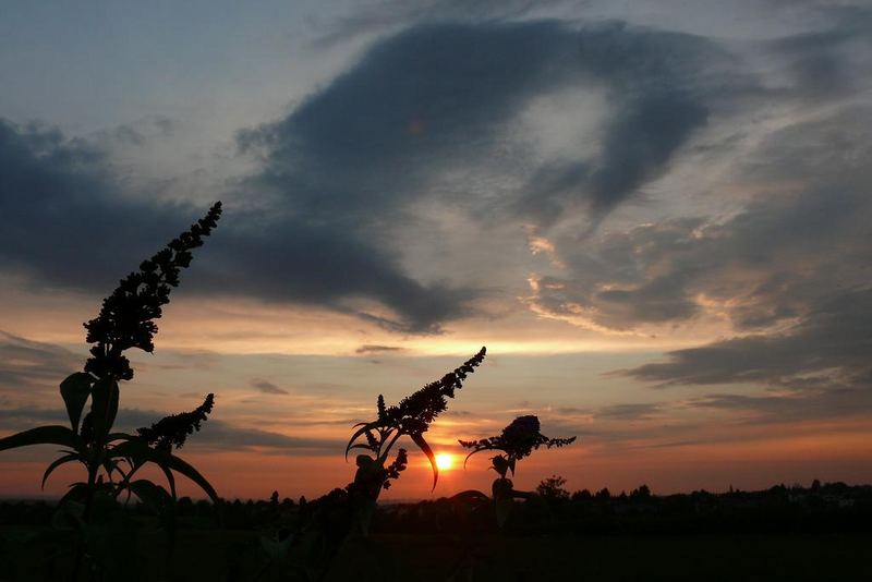 Sonnenuntergang in Solingen-Höhscheid am 9. Juli 2007 (5)