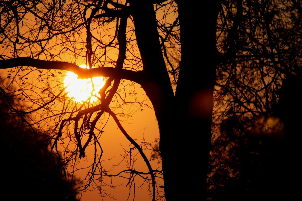 Sonnenuntergang in South Africa