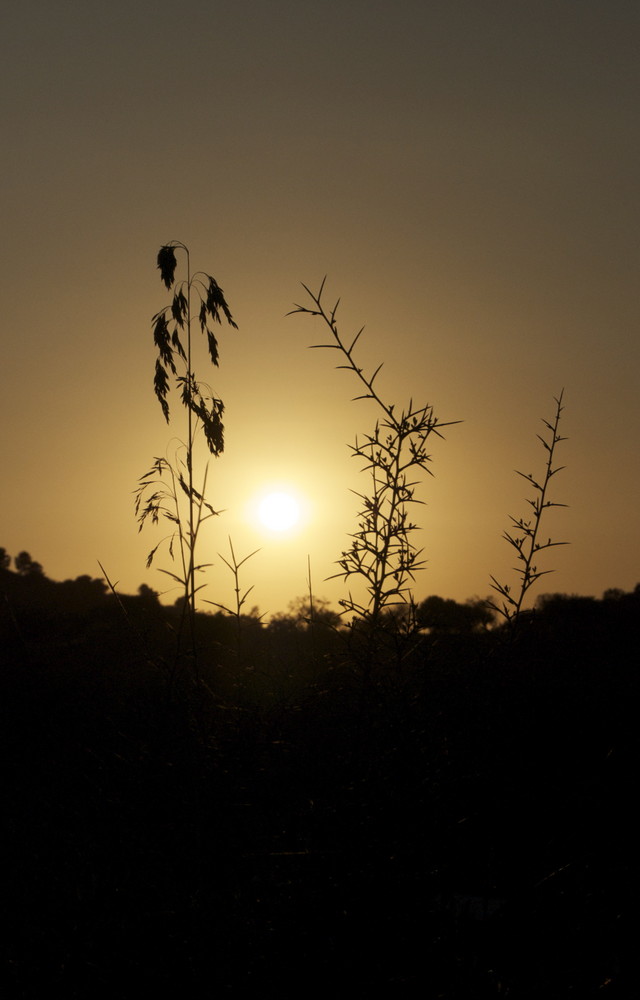 Sonnenuntergang in Spanien