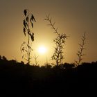 Sonnenuntergang in Spanien