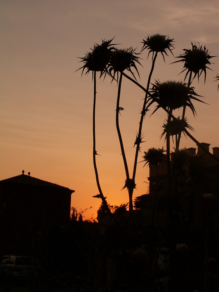 Sonnenuntergang in spanien