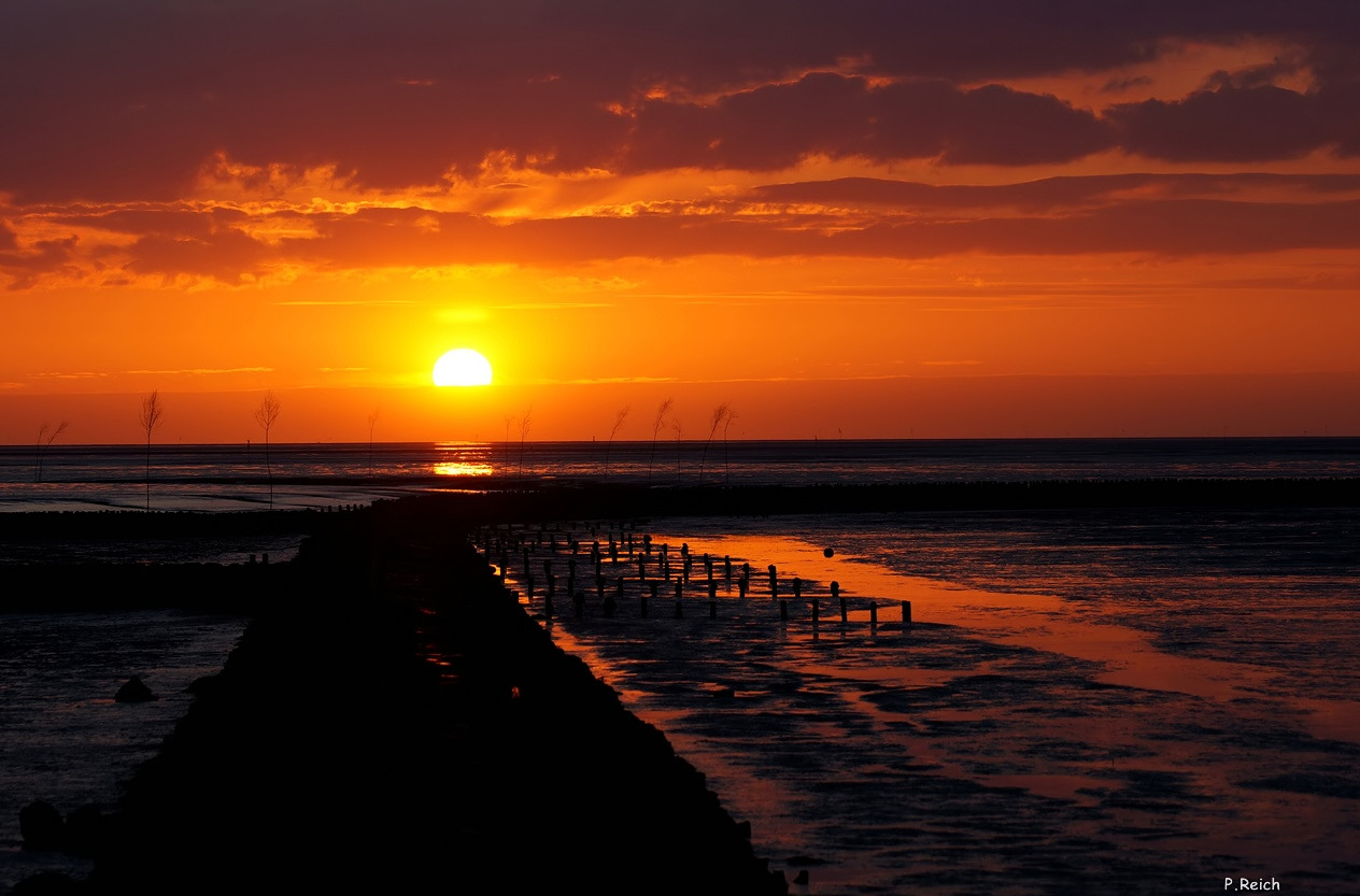 Sonnenuntergang in Spieka-Neufeld