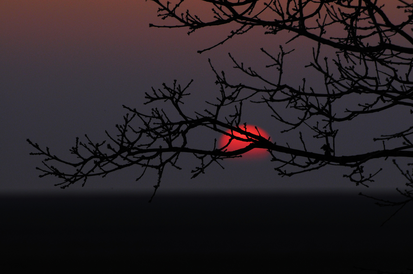 Sonnenuntergang in Spieka Neufeld Wesermündung