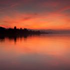 Sonnenuntergang in Staad Bodensee (Kanton St. Gallen, Schweiz)