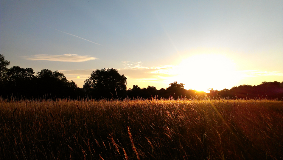 Sonnenuntergang in Stuttgart - Rosensteinpark