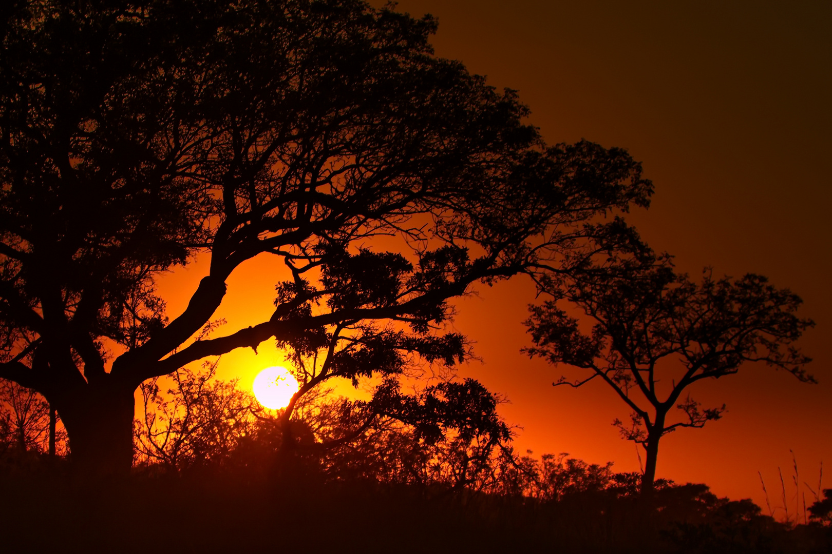 Sonnenuntergang in Südafrika