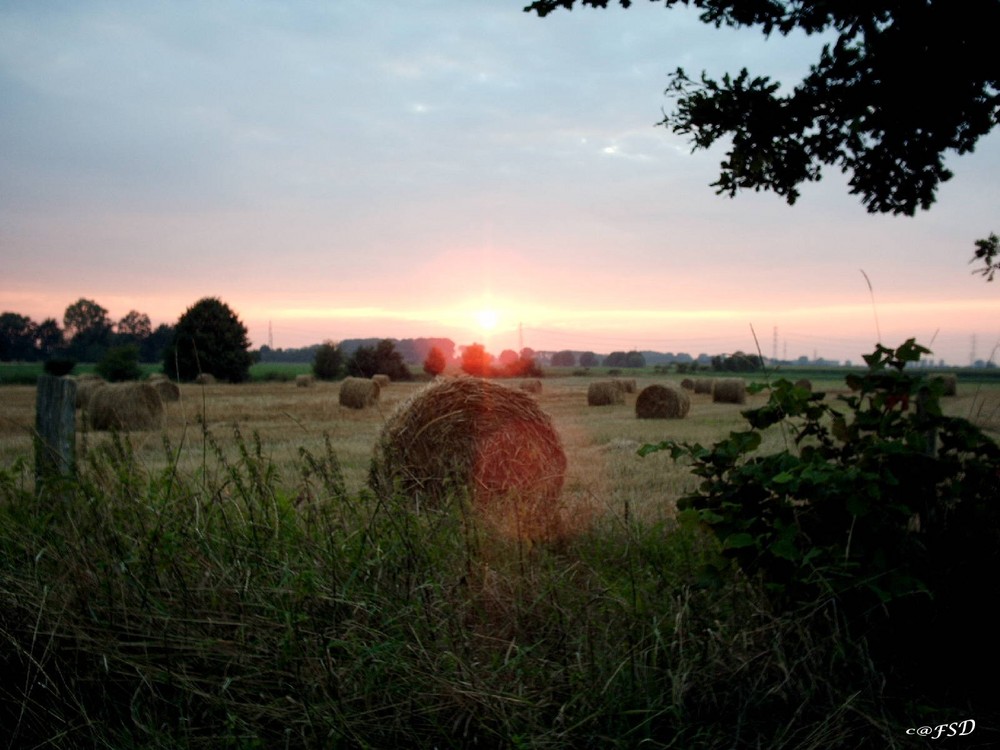 Sonnenuntergang in Südhessen