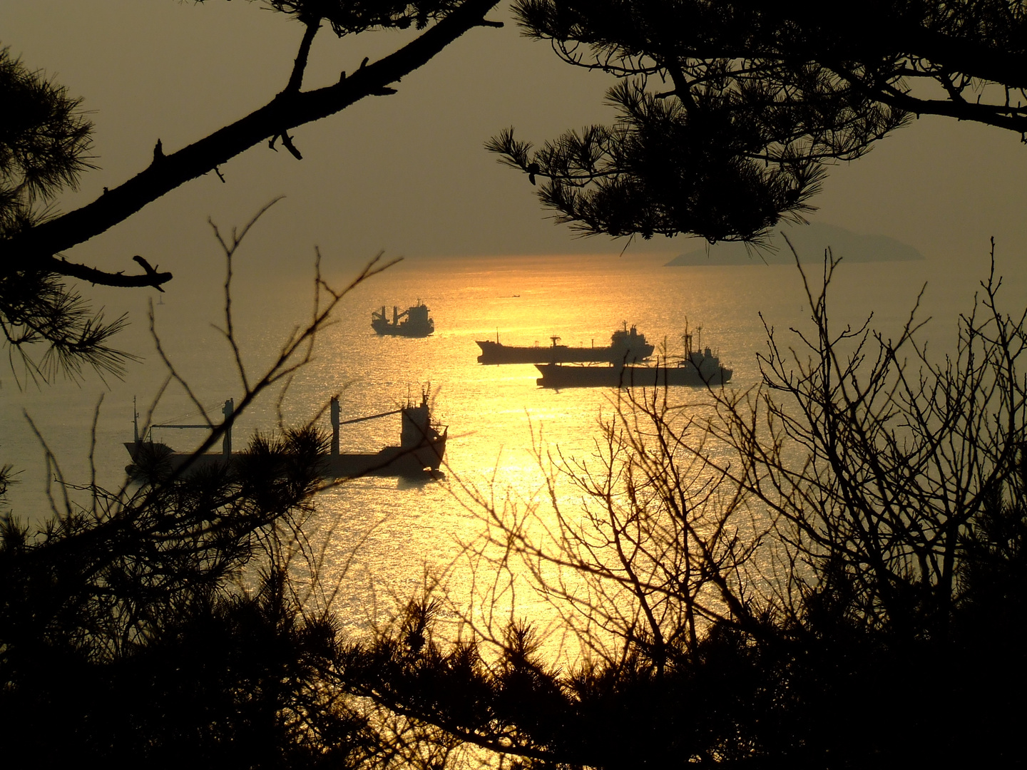 sonnenuntergang in südkorea (Busan)