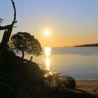 Sonnenuntergang in Tasmanien