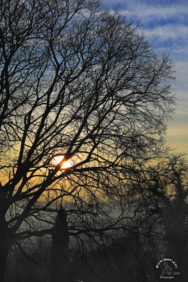 Sonnenuntergang in Toscolano