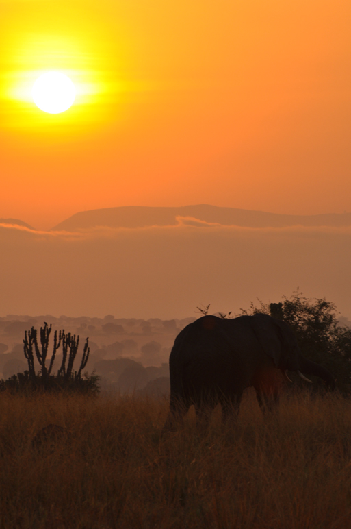 Sonnenuntergang in Uganda