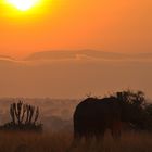 Sonnenuntergang in Uganda