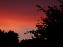 Sonnenuntergang in unserem Garten