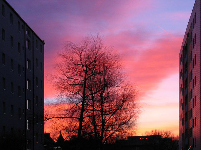 Sonnenuntergang in unserer Straße