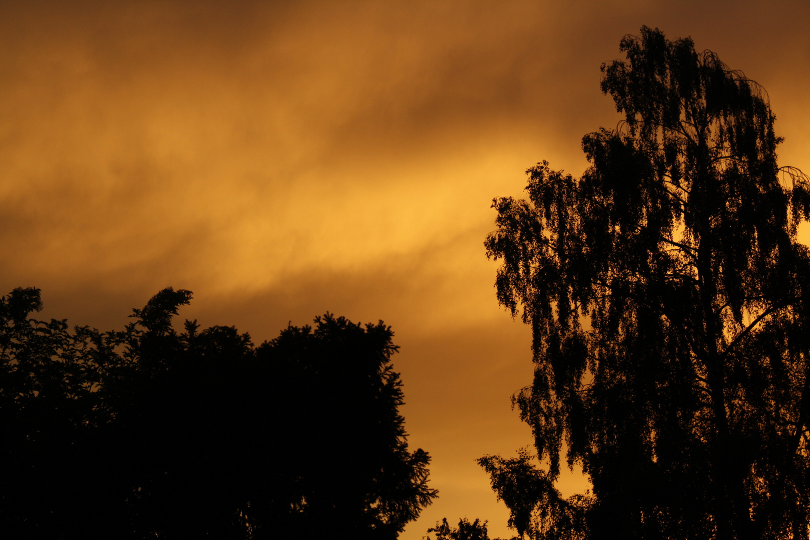 Sonnenuntergang in unserer Straße