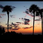 Sonnenuntergang in Venice Beach