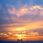 Sonnenuntergang in Venice Beach, L.A.