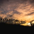 Sonnenuntergang in Virginia Beach