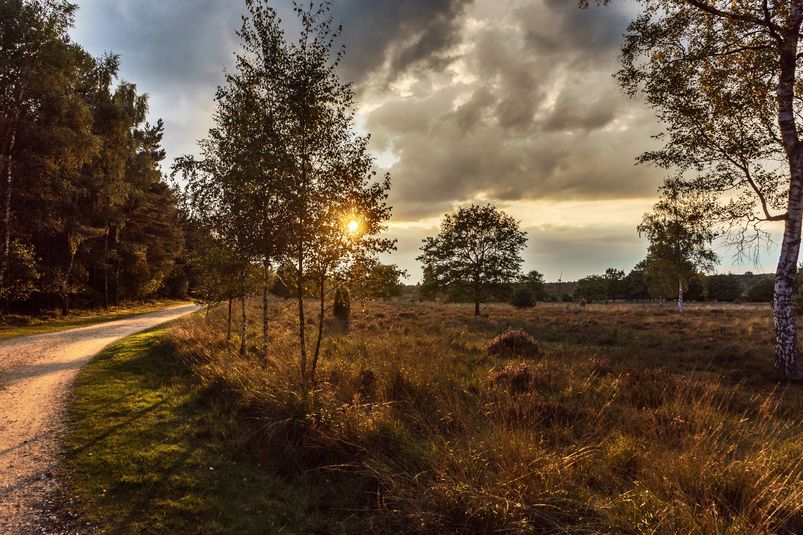 Sonnenuntergang in Wacholderheide, NRW