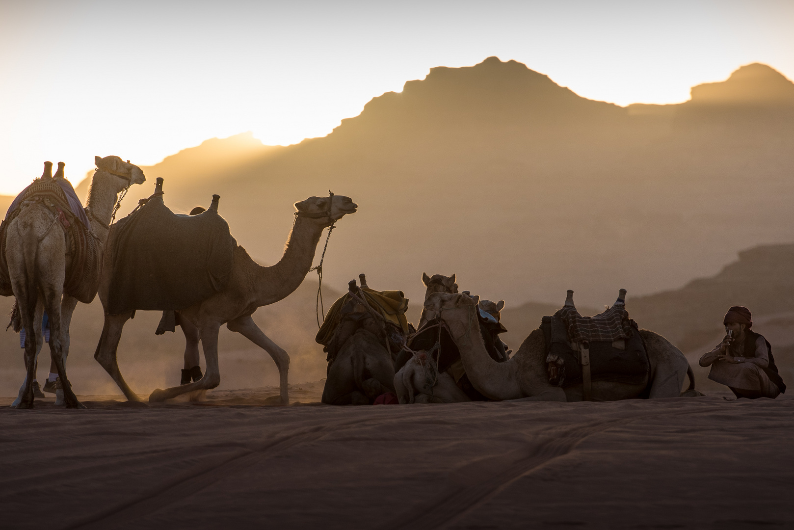 Sonnenuntergang in Wadi Rum