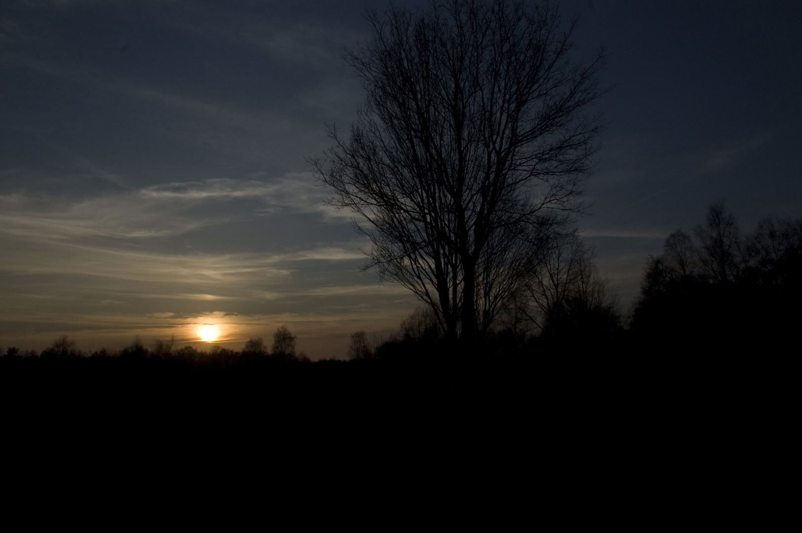 Sonnenuntergang in Wald