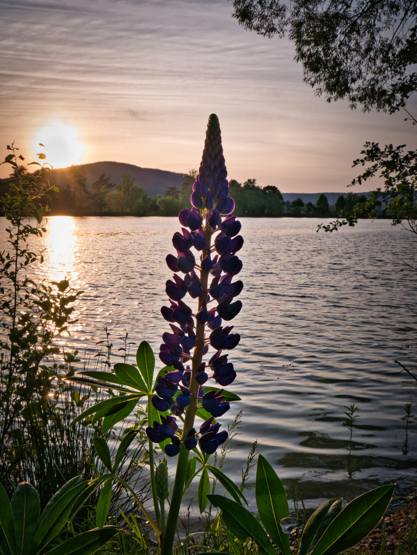 Sonnenuntergang in Waldau