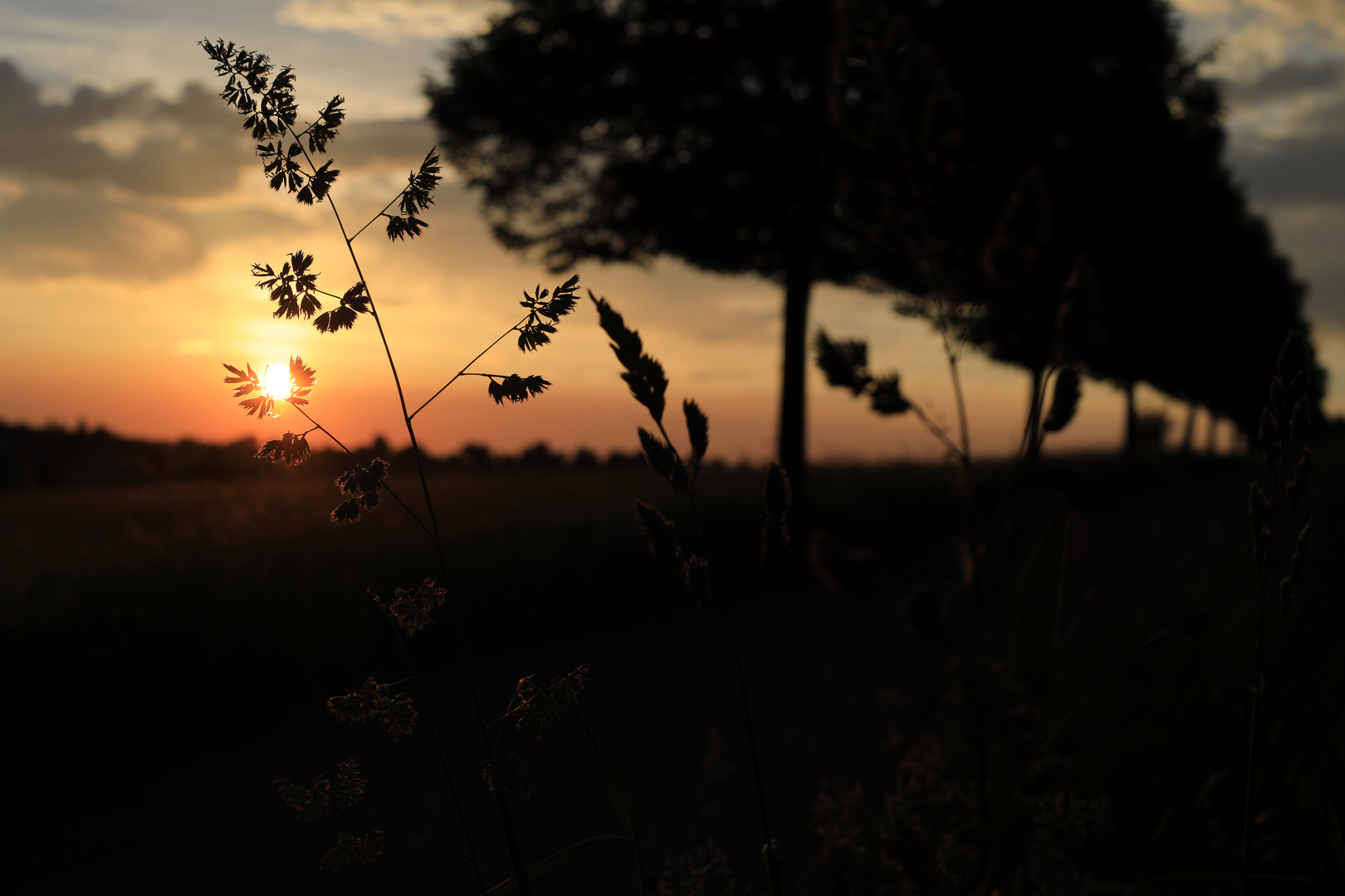 Sonnenuntergang in Waldenbuch