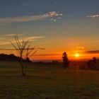 Sonnenuntergang in Waldhessen