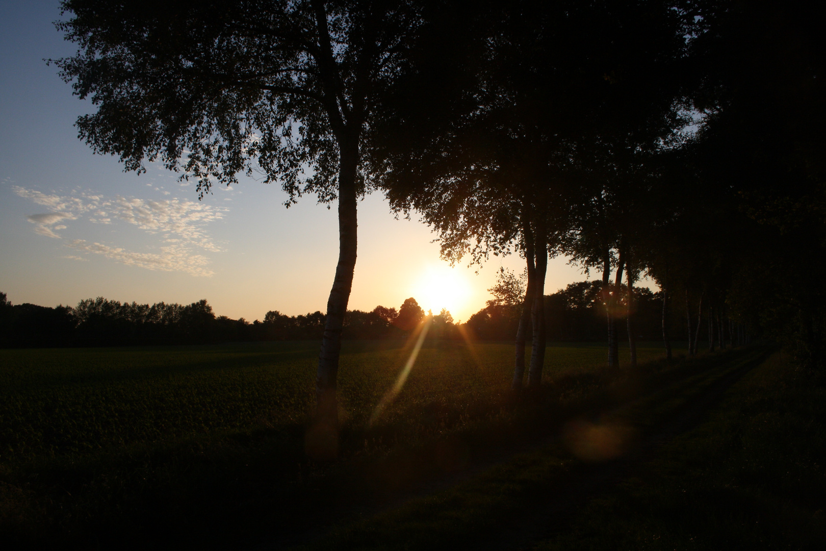 Sonnenuntergang in Wardenburg