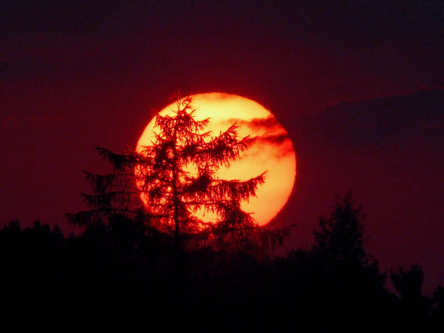 Sonnenuntergang in Waren an der Müritz