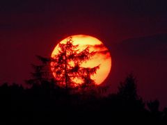 Sonnenuntergang in Waren an der Müritz