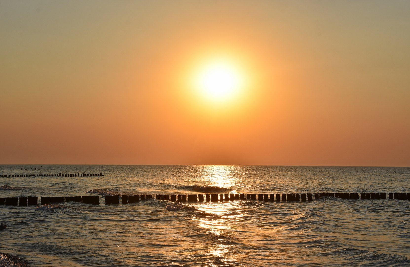 Sonnenuntergang in Warnemünde (1)