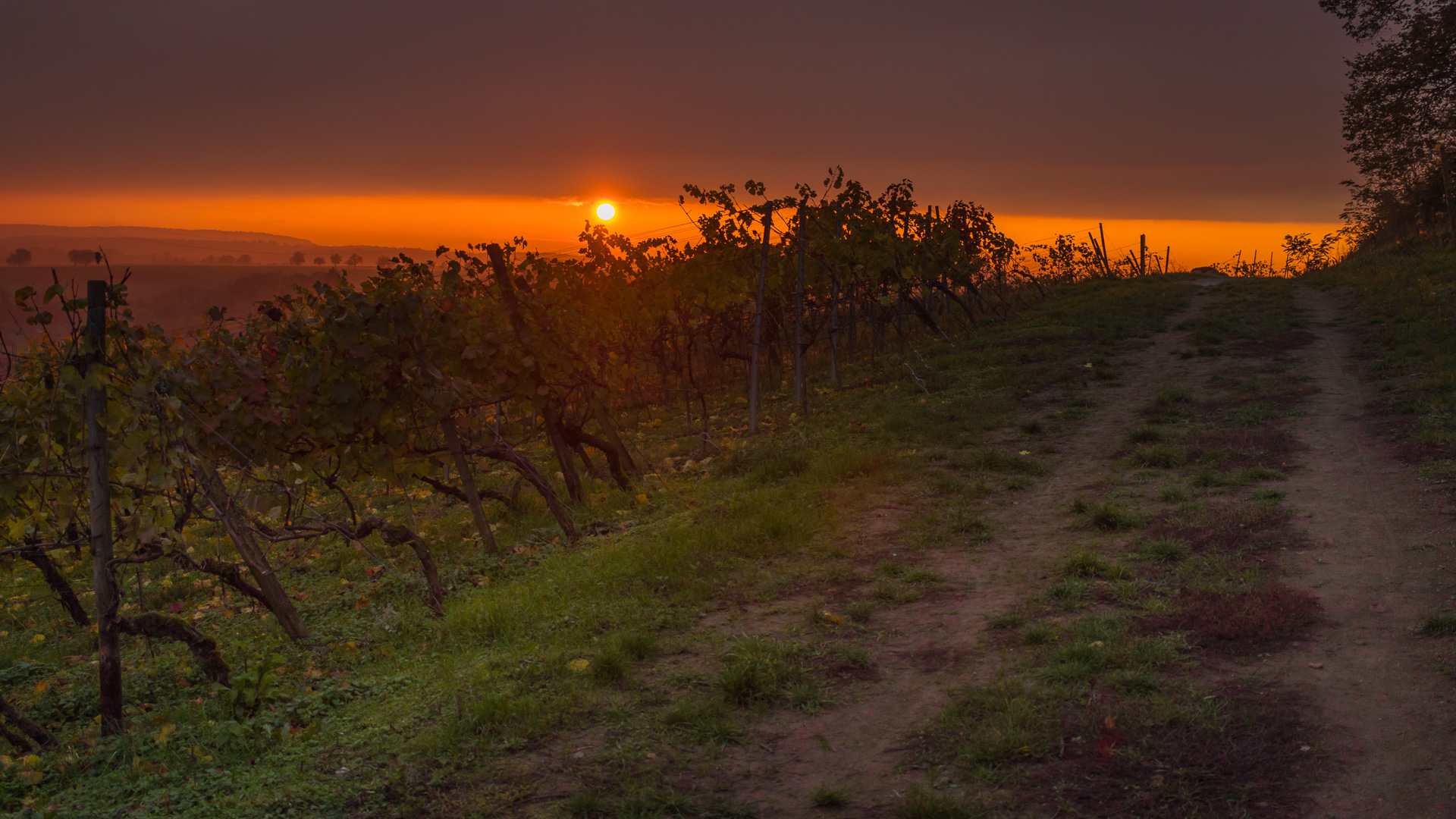 Sonnenuntergang in Weiler